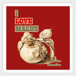 I Love Malus, Malus domestica. For Apple Lovers Everywhere! Magnet